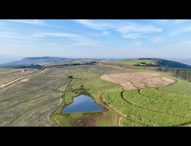 LAND FOR SALE IN MOUNT VERDE